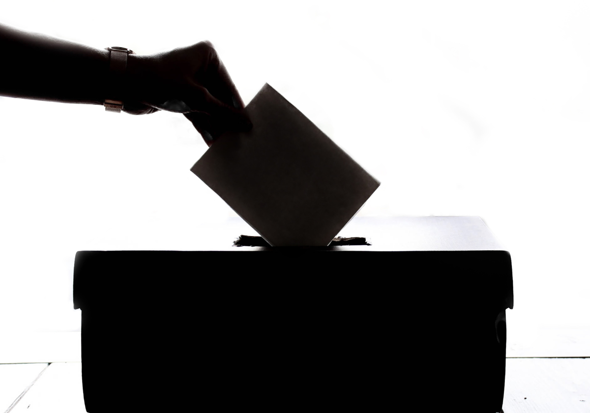 Municipal Voter Resource: Voting in Rights-based Drug Policy Champions